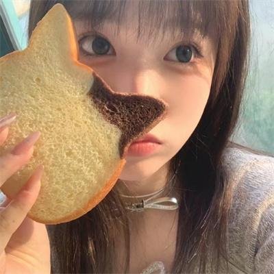 大贼与金丝猫